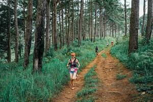 BIB: 
                            <button type="button" onclick="openModal(25660183)" class="btn btn-primary btn-sm float-right btn-popup" data-toggle="modal" data-target=".modal-high-quality">
                        <i class="fas fa-shopping-cart"></i> Add to Cart
                    </button>
                                            <button type="button" onclick="isThisMe(25660183, true)" class="btn btn-success btn-sm float-right btn-popup btn-isme hidden" data-toggle="tooltip" data-placement="bottom" title="นี่คือรูปของคุณใช่ไหม คลิกที่นี่เพื่อเอาเข้าอัลบั้ม">
                        <i class="fas fa-plus"></i> Add to album
                    </button>
                    <button type="button" onclick="isThisMe(25660183, false)" class="btn btn-warning btn-sm float-right btn-popup btn-isnotme hidden">
                        <i class="fas fa-ban"></i> Remove from album
                    </button>